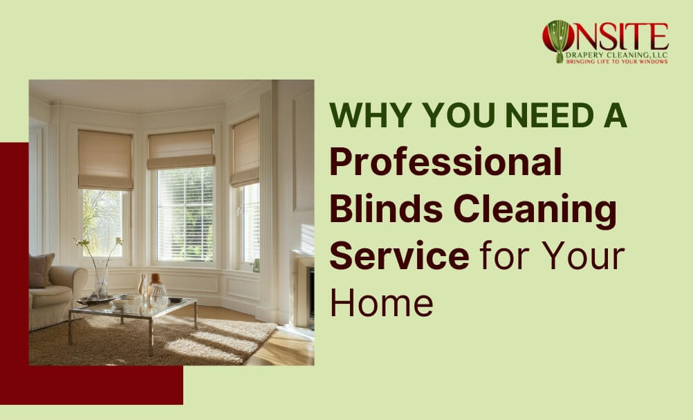 Professional Blinds Cleaning Service