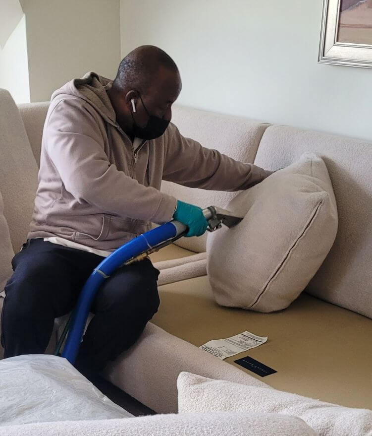 Professional Upholstery Cleaning