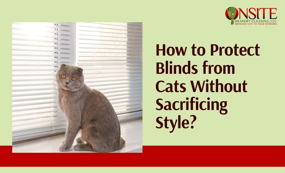 How to protect blinds from cats