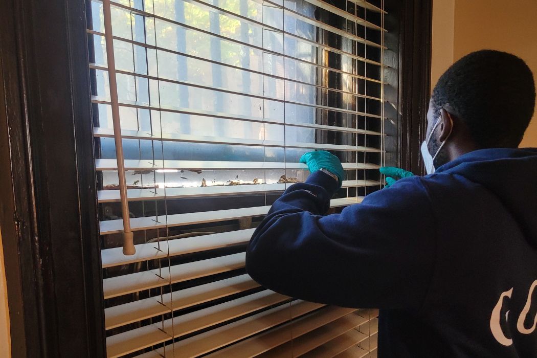Blinds Cleaning