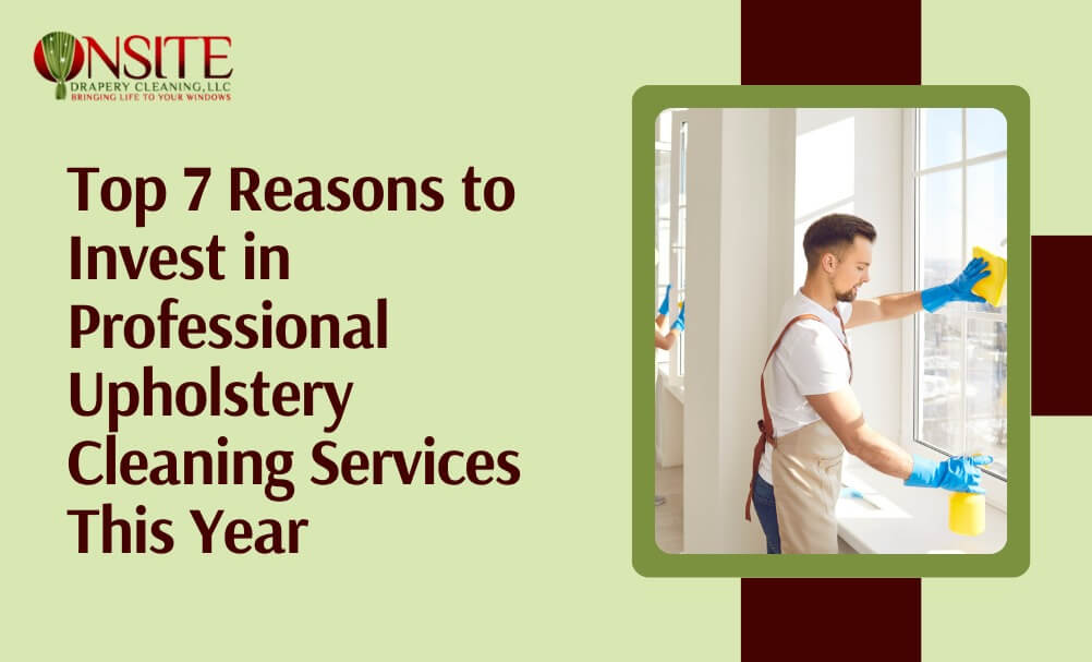 Professional Upholstery Cleaning Services