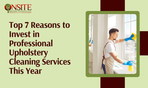 Professional Upholstery Cleaning Services